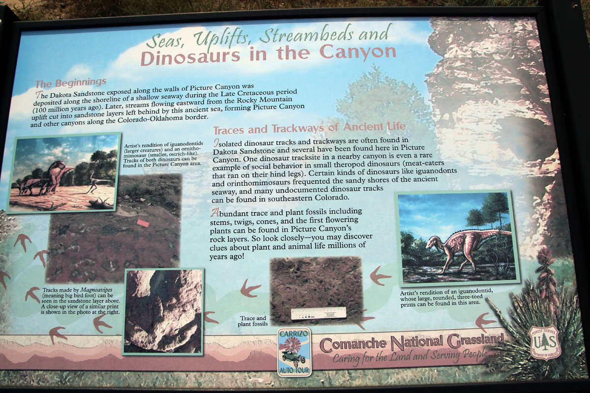 2011 Okie-Tex Star Party